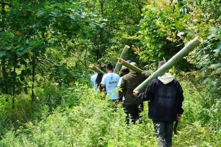 张家界七星山荒野求生爆火并非偶然，是多种因素共同作用的结果。首先是新鲜感，选