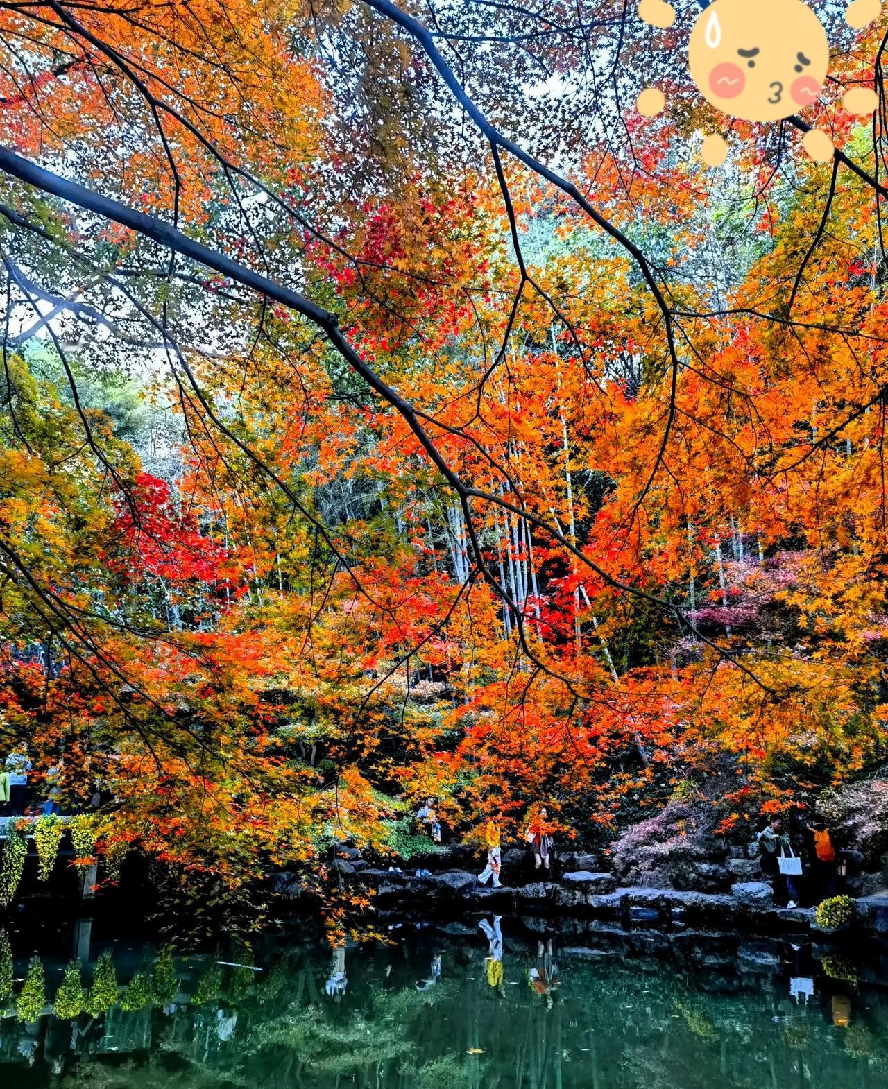 别再瞎忙活！冬季养生的核心就一个“藏”字，顺着自然规律来才不白费功夫～冬天