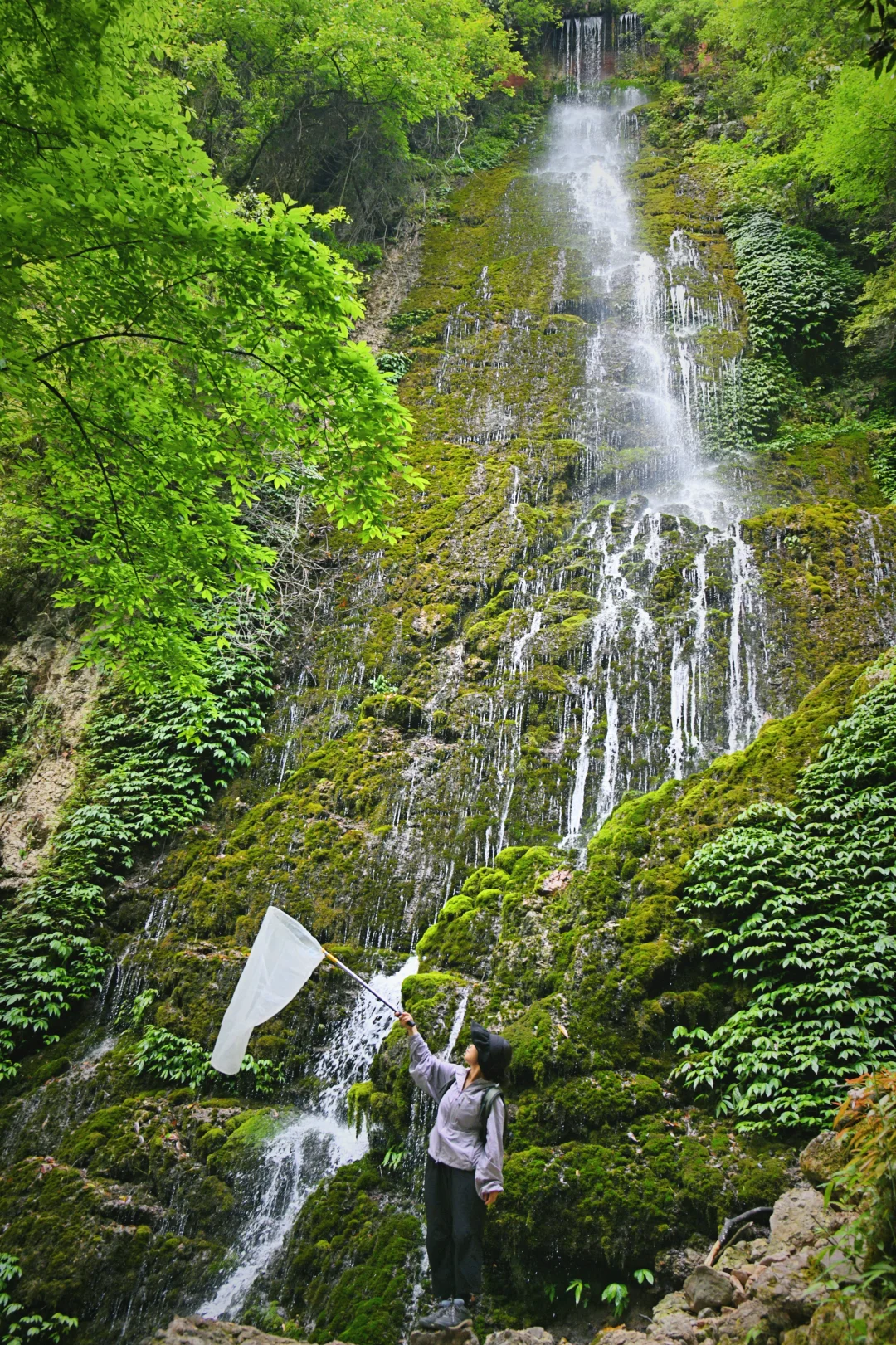 青城后山旁免费徒步地，99%的人错过的飞瀑