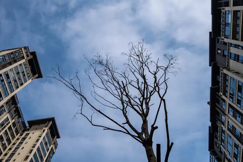 人生总有低谷，就像月亮也有阴晴圆缺。生活压力、工作失意、学业难题，会让我们惶惶不