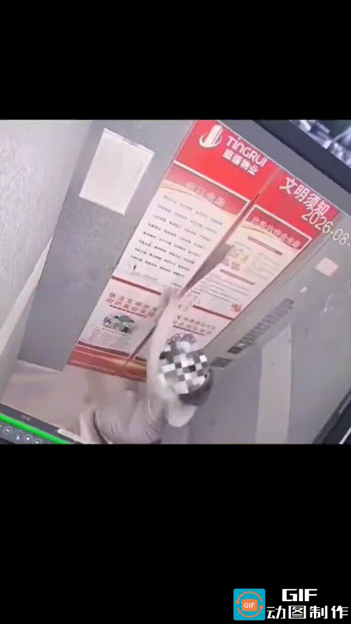 女子乘坐电梯，一手抱着快递并牵着狗狗，另一只手刷着手机。电梯门开了，狗狗率先跑