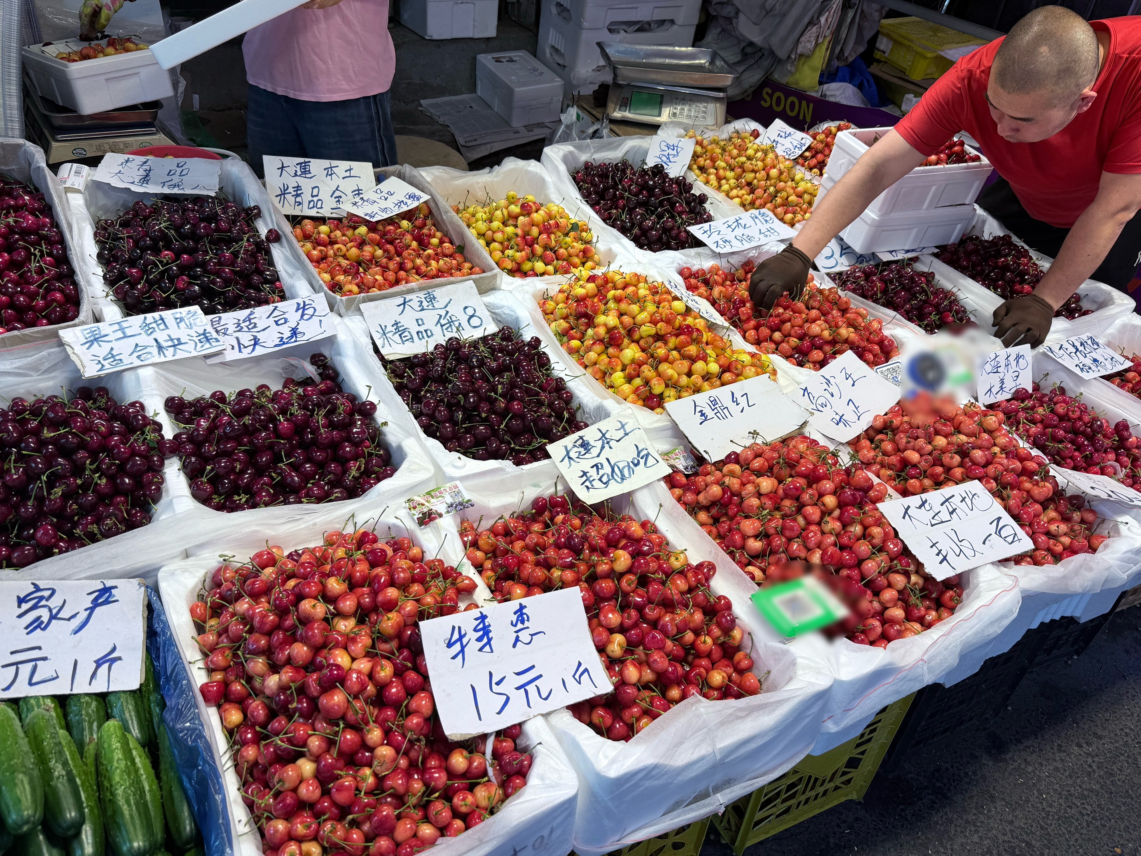 谁懂前两天才在大连吃了好多樱桃🍒