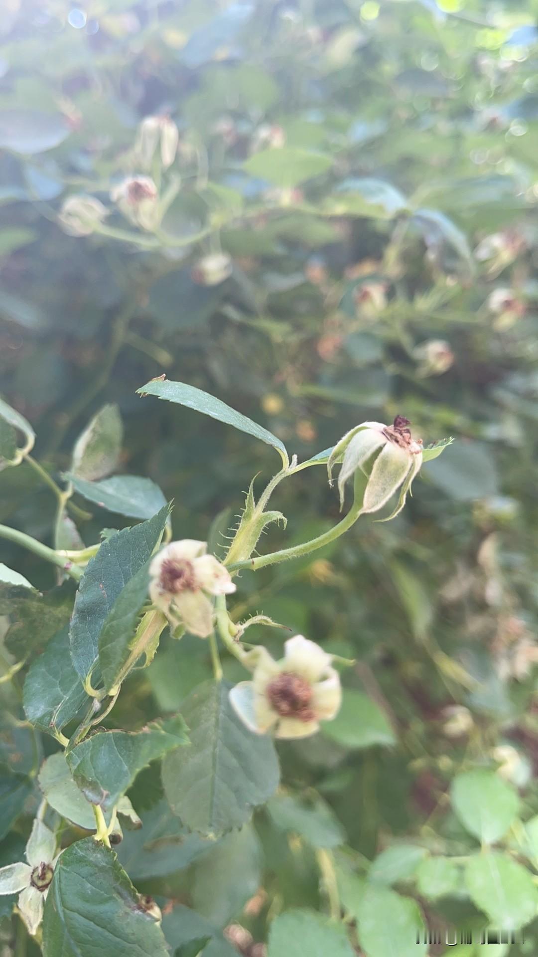 人的一生,最后你拥有的是什么?白茫茫大地真干净