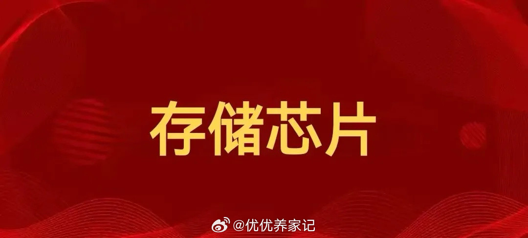 存储芯片10大正宗公司！1、江波龙，股价178.03元，市值746亿，市盈率25