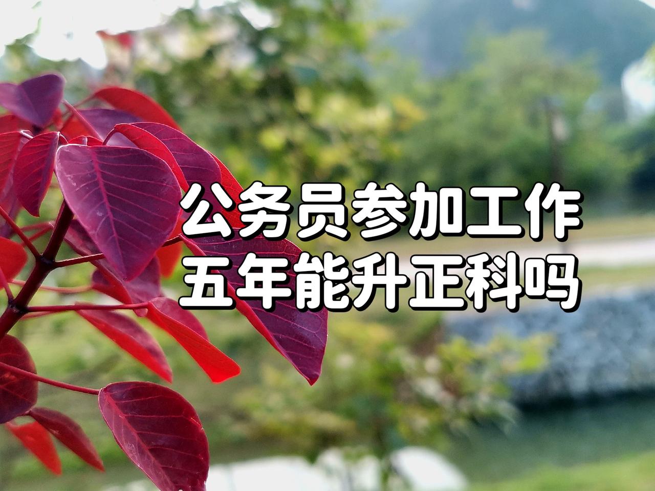 不只是学校，各行各业的事业单位，高级职称名额，很多时候领导优先占了。哪怕是从外面