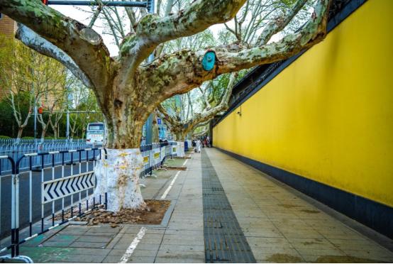 终于有老外承认真相了！阿根廷记者访华，揭开了一个西方最不愿承认的事实。 阿根