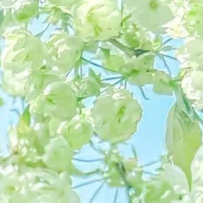 0000生命是有光的。在我熄灭以前，能够照亮你一点，就是我所有能够做的了。我爱