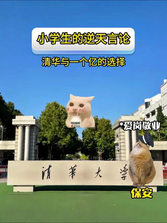 “给你10个亿”和“保你上清华”，你会怎么选？二年级小学生的言论“逆天”了！