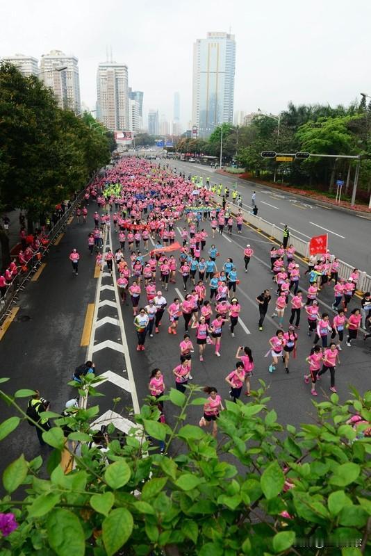 近50天狂揽超20万奖金，这“钞能力”主角竟是她——“最快女护士”张水华！12月