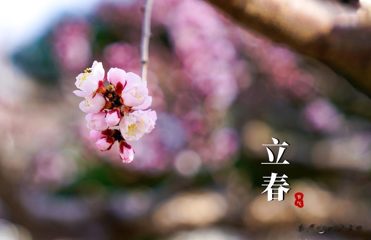 立春刚过，倒春寒还没影儿，老辈人却早就在念叨了。2026年这次立春有点怪——腊月