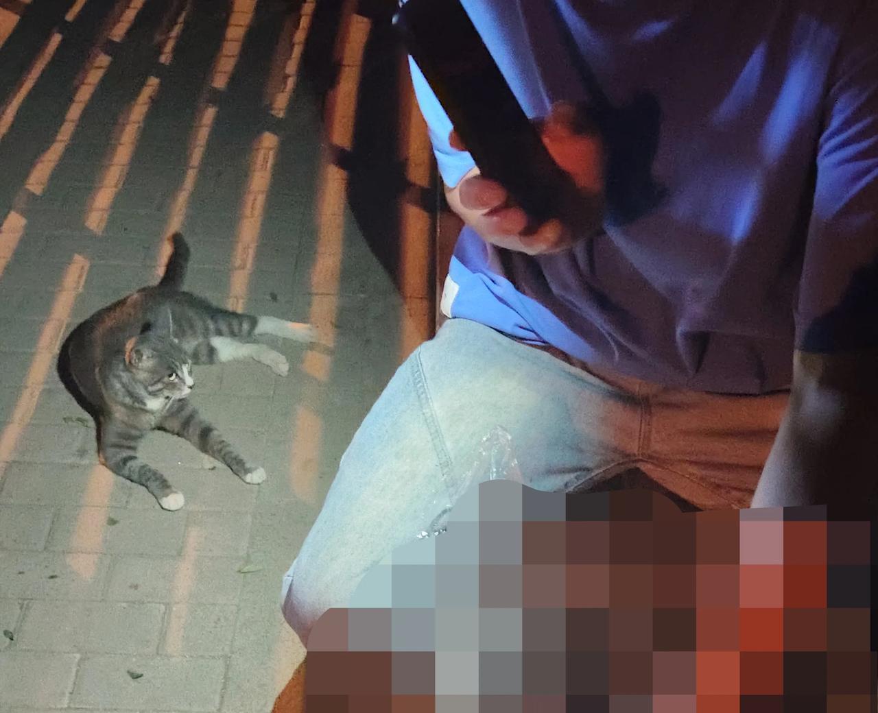 太神奇了，小猫咪真的有灵性啊！忙完和老公两个人出去楼下转转散步，离我家差不多两百