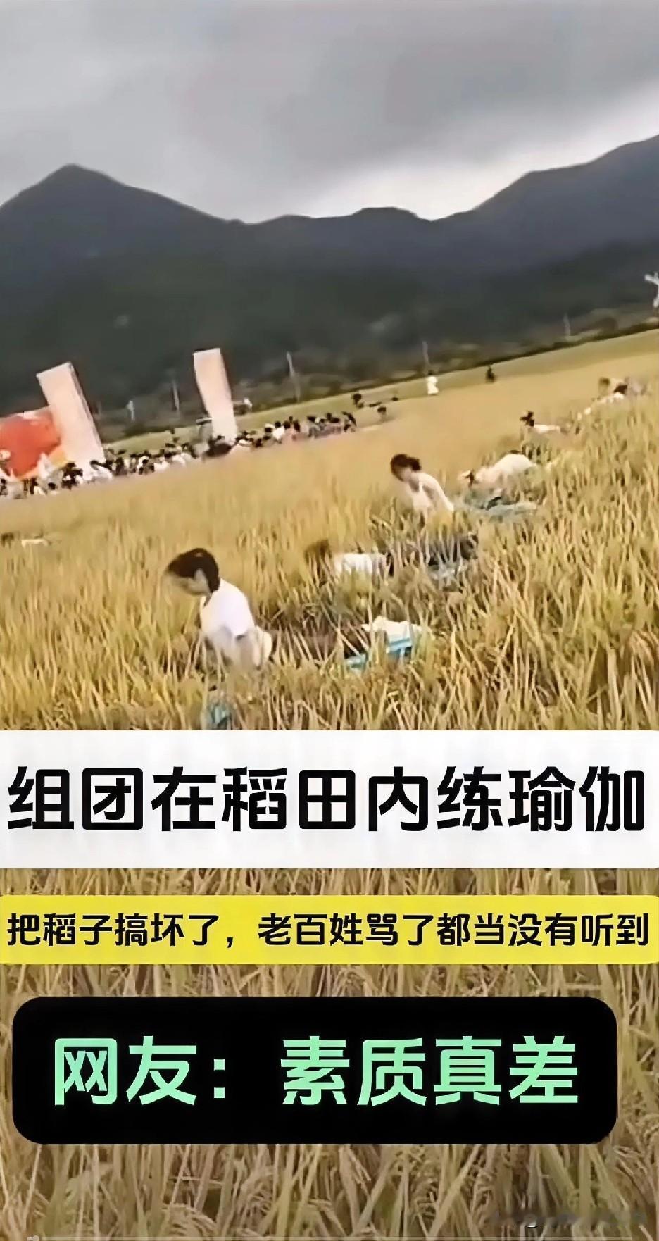 惊呆！竟然有人把稻田当瑜伽场地，你敢信？今天刷到了一则视频，一群女的以亲近大自