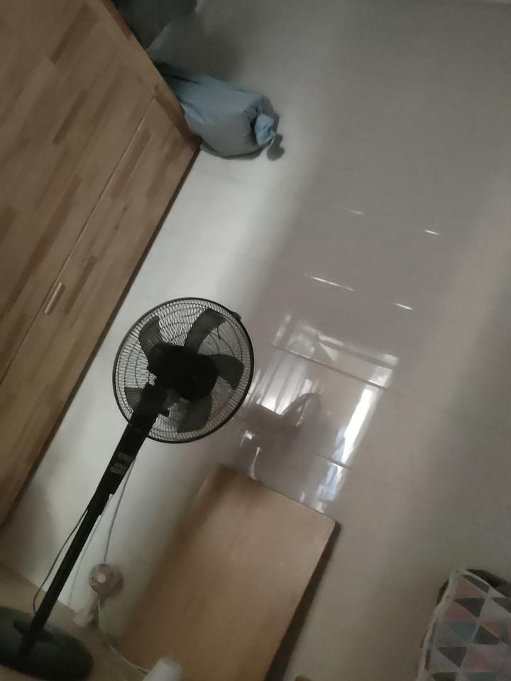 你积攒的每一份努力，都在悄悄照亮前路，别怕慢，坚持就有回响。