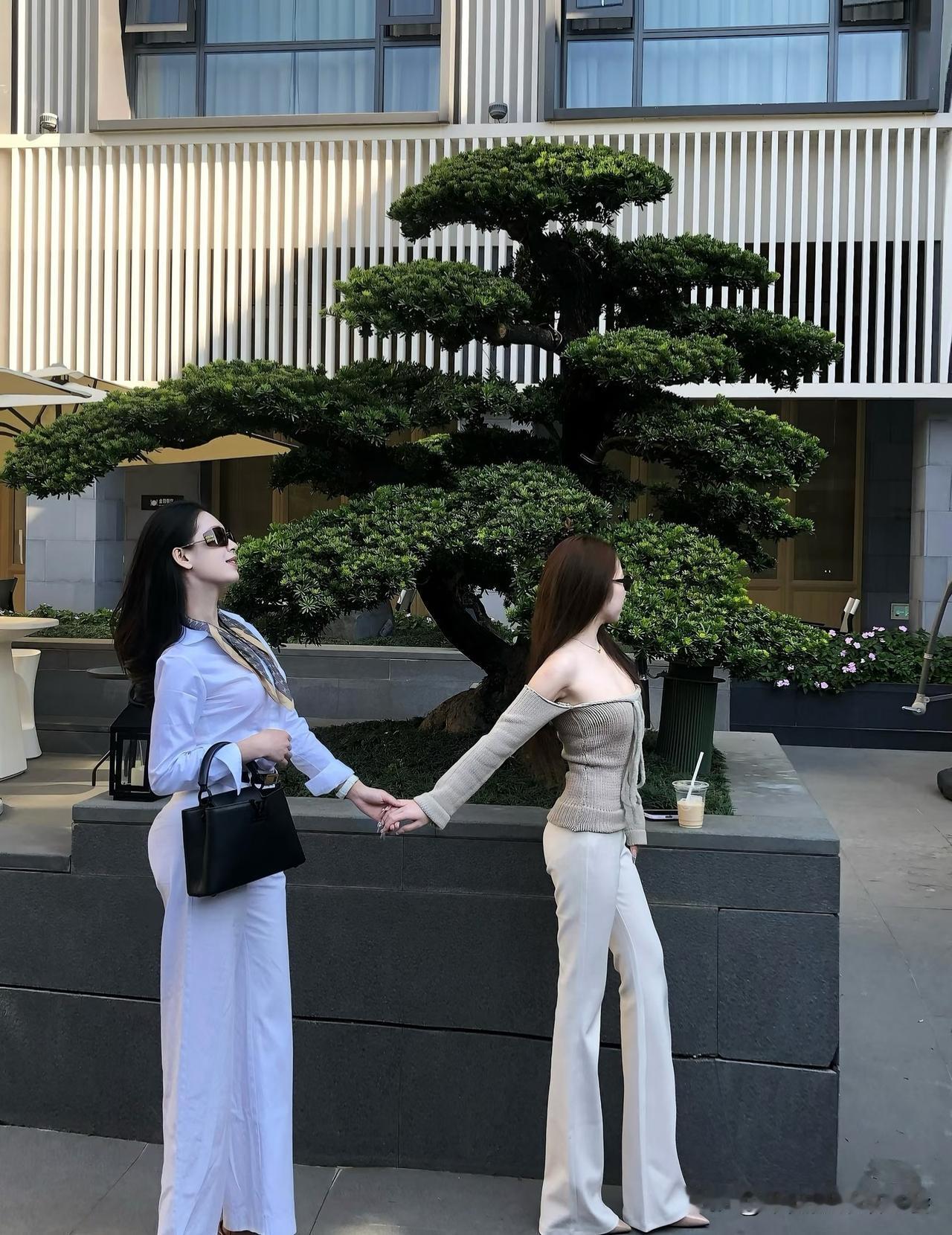 姐妹花姐妹花[祈祷]姐妹闺蜜双生花双花姐妹花绝配姐妹花姐妹菊塑料花