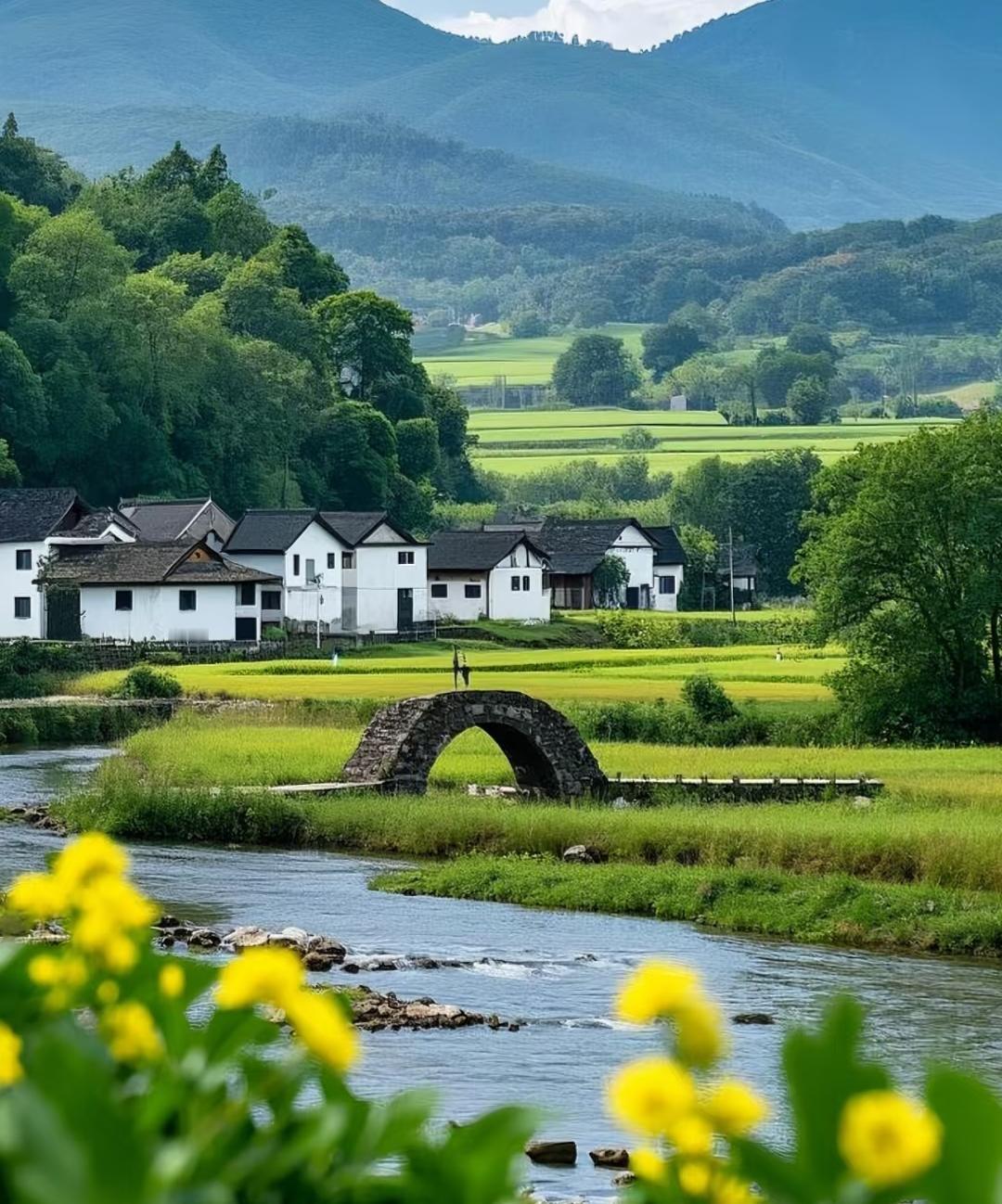 我女儿初中同学，成绩稳居班级前五，却在所有人都冲高中时，报了全校就他一个人选的五