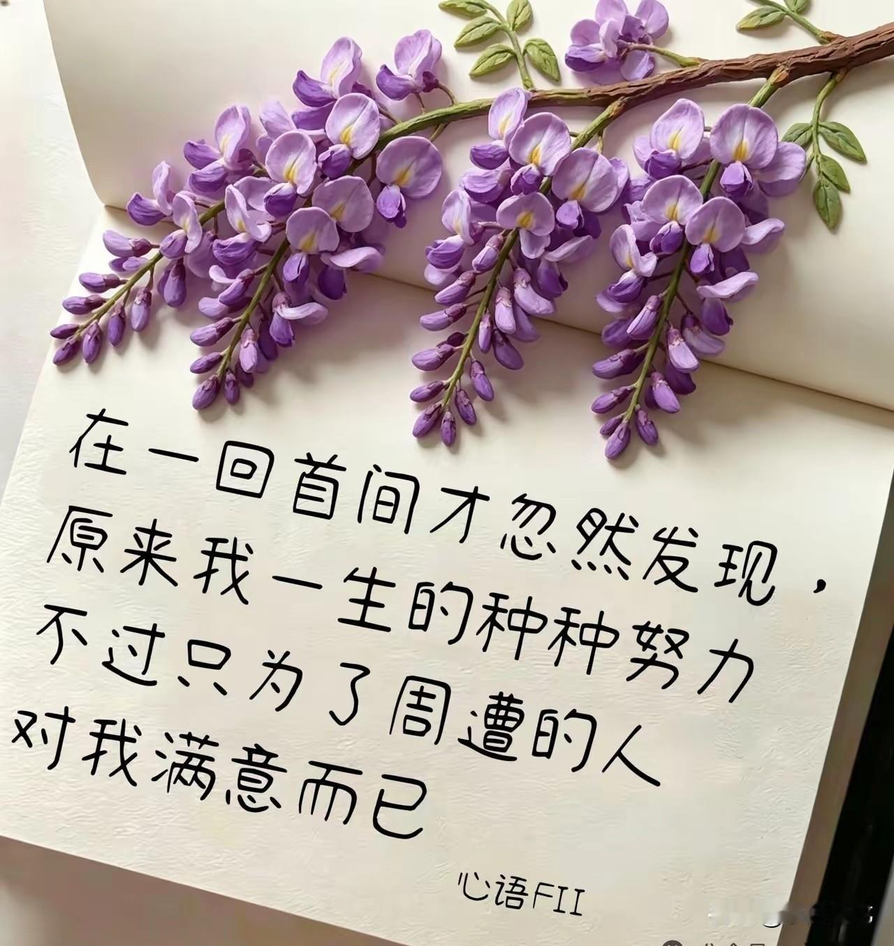 人一旦释怀，就会平静如水，这种状态接近开悟，不再有软肋了！释怀的人，接受了老朋