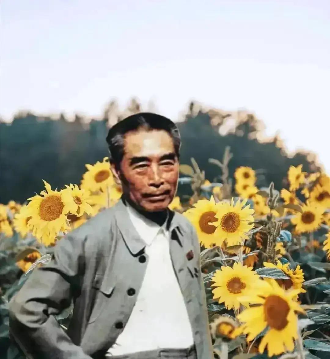 周总理重访延安，村民为何集体躲开了1973年，周总理陪外宾参观延安之后，想拜访