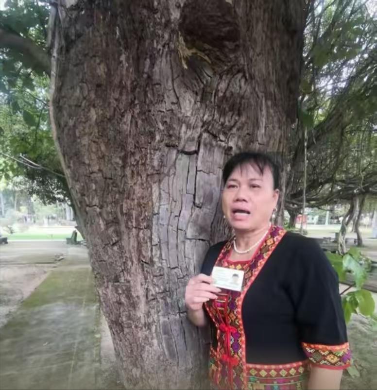 海南，一女子的种了一颗价值207万的百年重阳树，却在夜里被人连根拔走，女子赶紧报