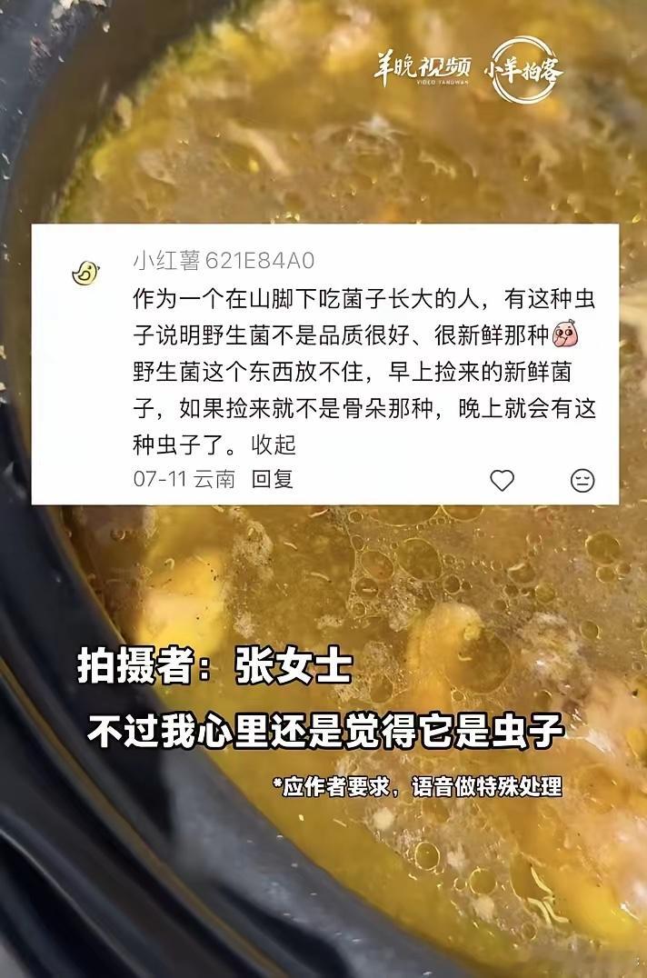 把人当傻子！张女士在昆明一家火锅店，点了一份菌子火锅，等了整整一小时。开始吃时，