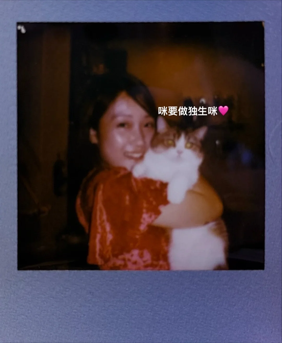 小猫性格实在不好，可惜相貌实在太乖❤️‍🔥