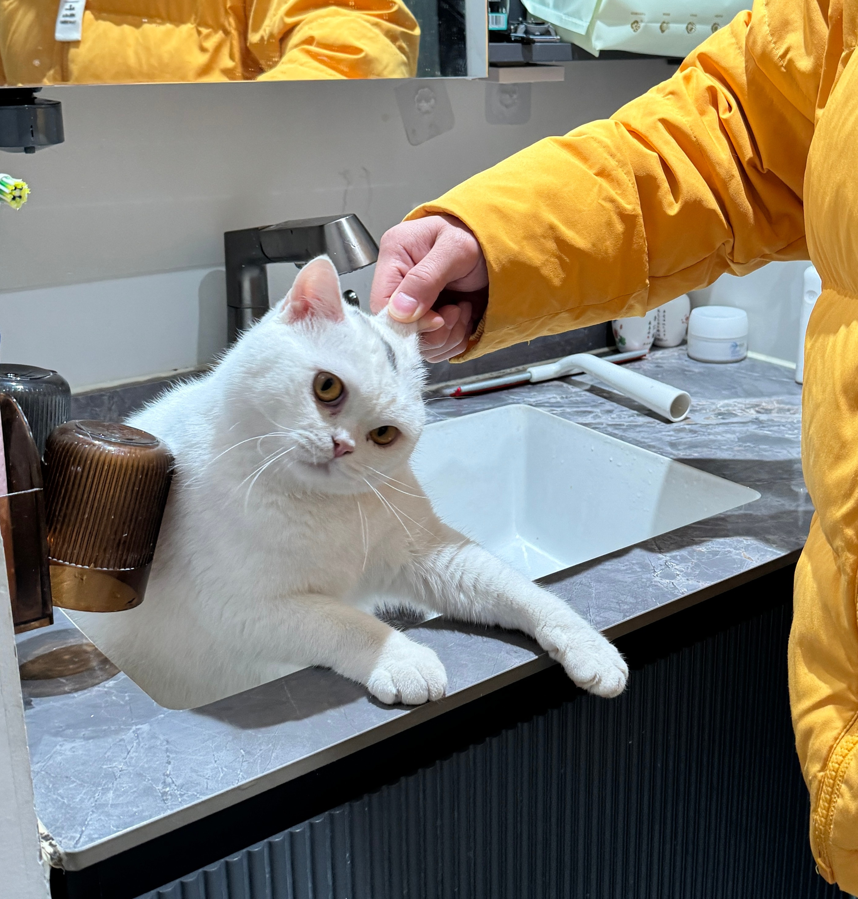 早早早很硬的兄弟们