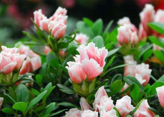 下周潜力板块及个股探讨！本周末，国内消息面依旧偏暖，外围目前也没有重大利空出现