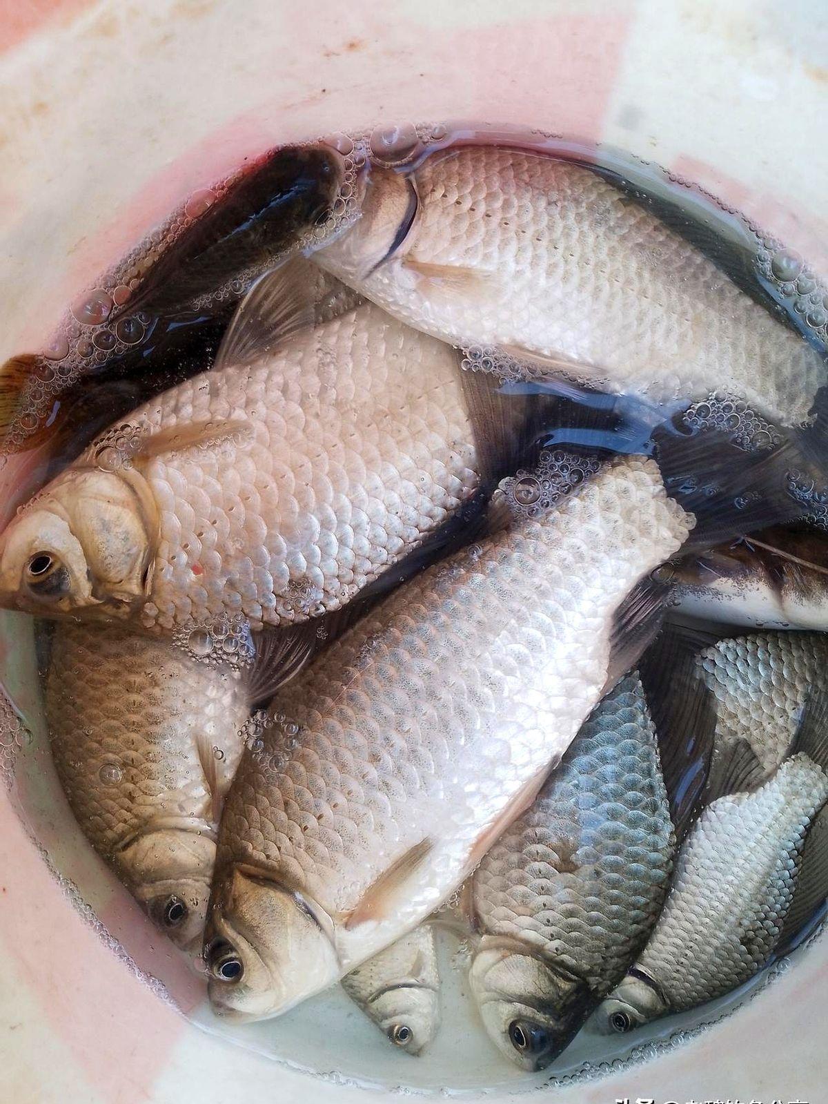 你发现没有，冬天钓鱼，一到下午4点左右就会停口，太阳刚一偏，那点暖意就从水面