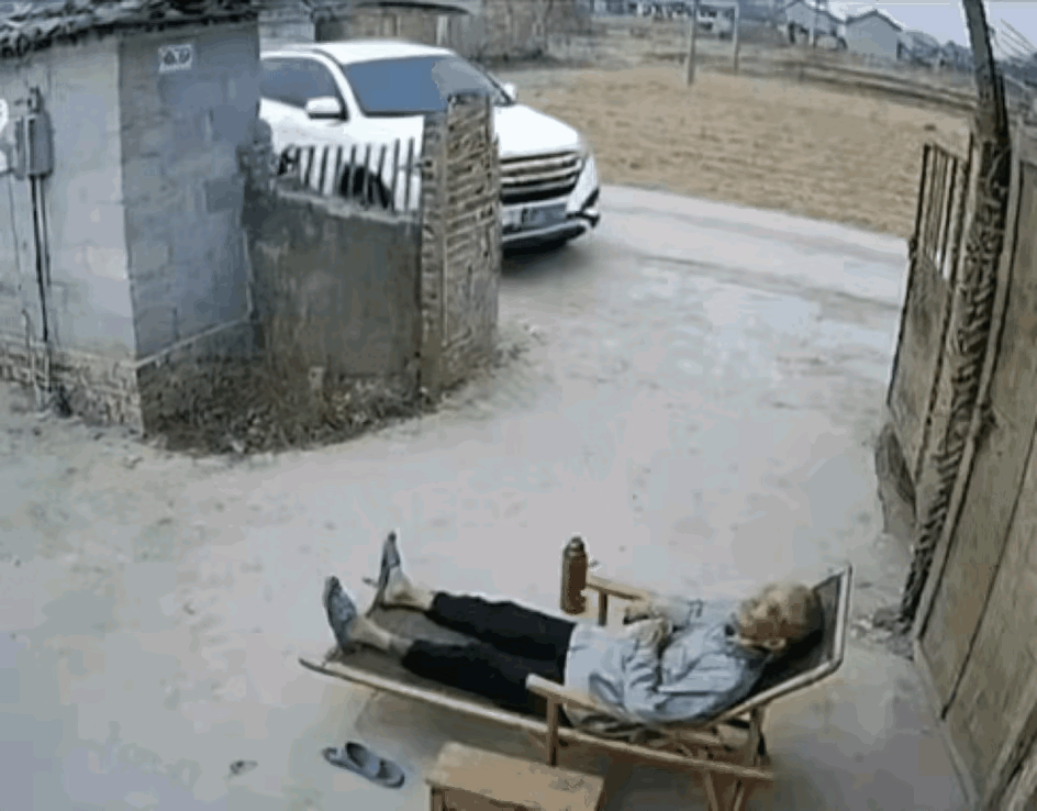 荣辱不惊，已入化境！[赞]