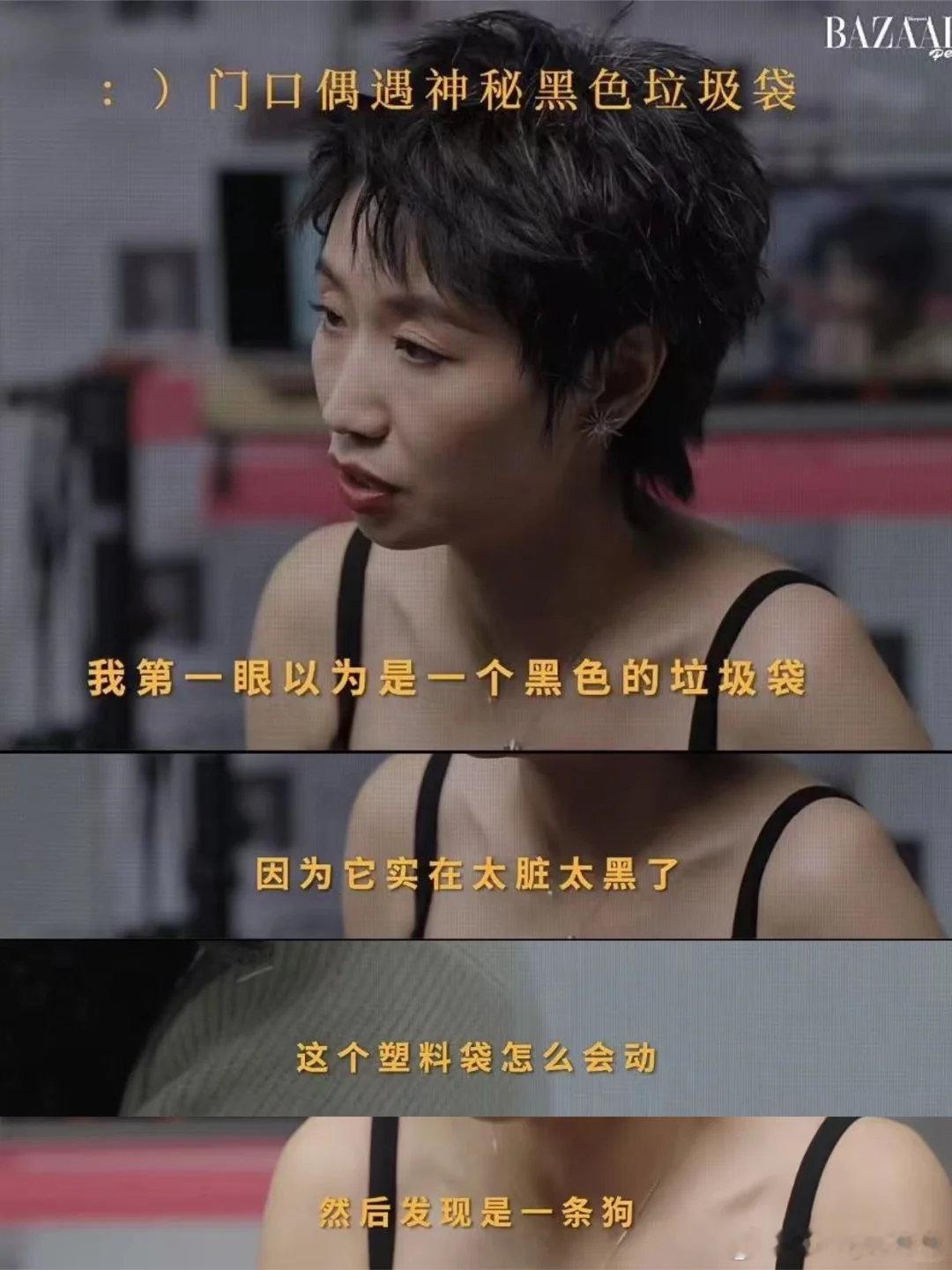 养宠物的人备孕分离焦虑怎么办姐姐当家看完姐姐当家狠狠共情小鹿！朝夕相伴的小狗只能