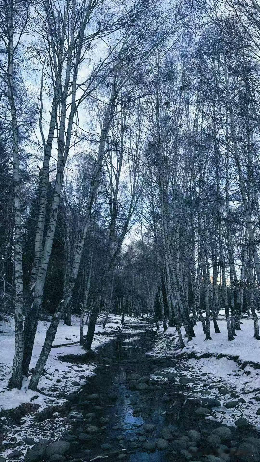 各有各的美，九寨沟是美，但是不能掩盖其他地方的美啊！就和四大美女一样，你能说貂