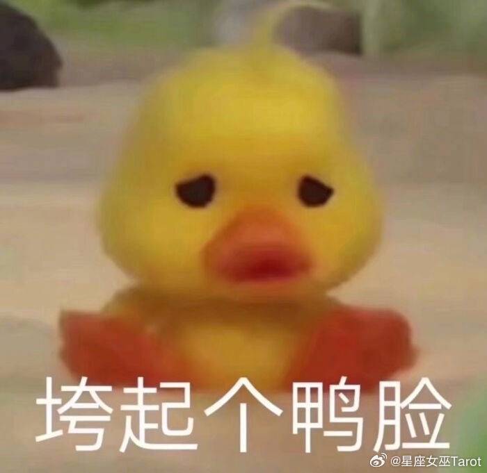 恋爱中最不可能撒娇的星座TOP5：1、摩羯：撒娇？这辈子都不可能2、天蝎：高冷人