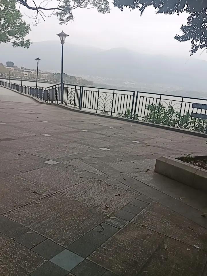 今天是清明节，我在肇庆发现一个很严重的问题但不知道怎么说才好家人们