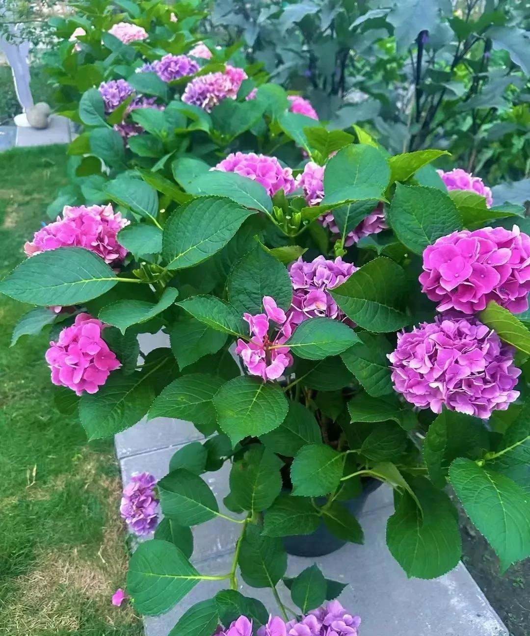 上班最怕接到什么电话呢？是孩子老师的电话。小孩哥病了。在学校又吐又拉，却跟