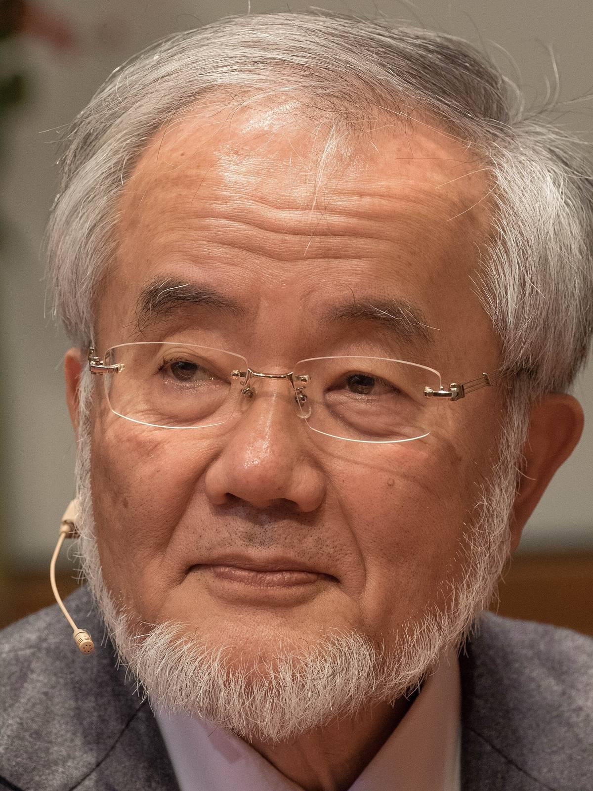 大隅良典因揭示细胞自噬机制获得诺贝尔奖，但这不等于挨饿就能清除人体坏细胞，把这项