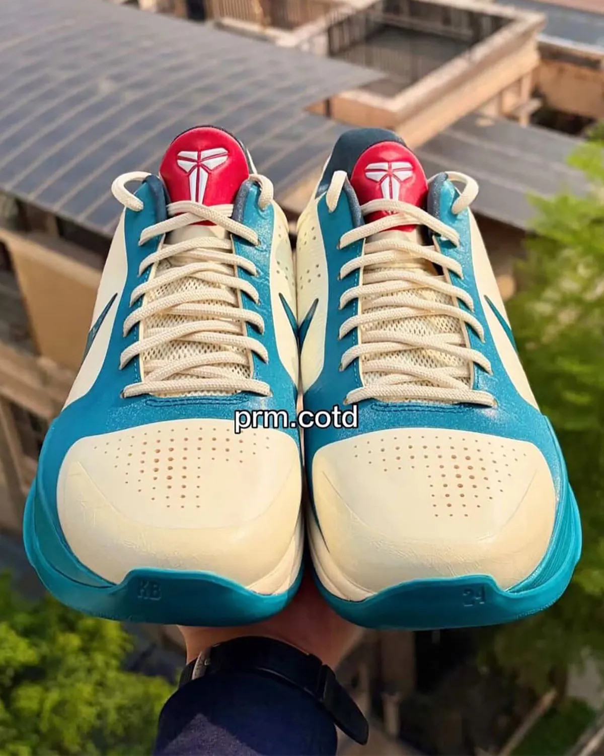 CaitlinClark与Nike合作的Kobe5Protro“