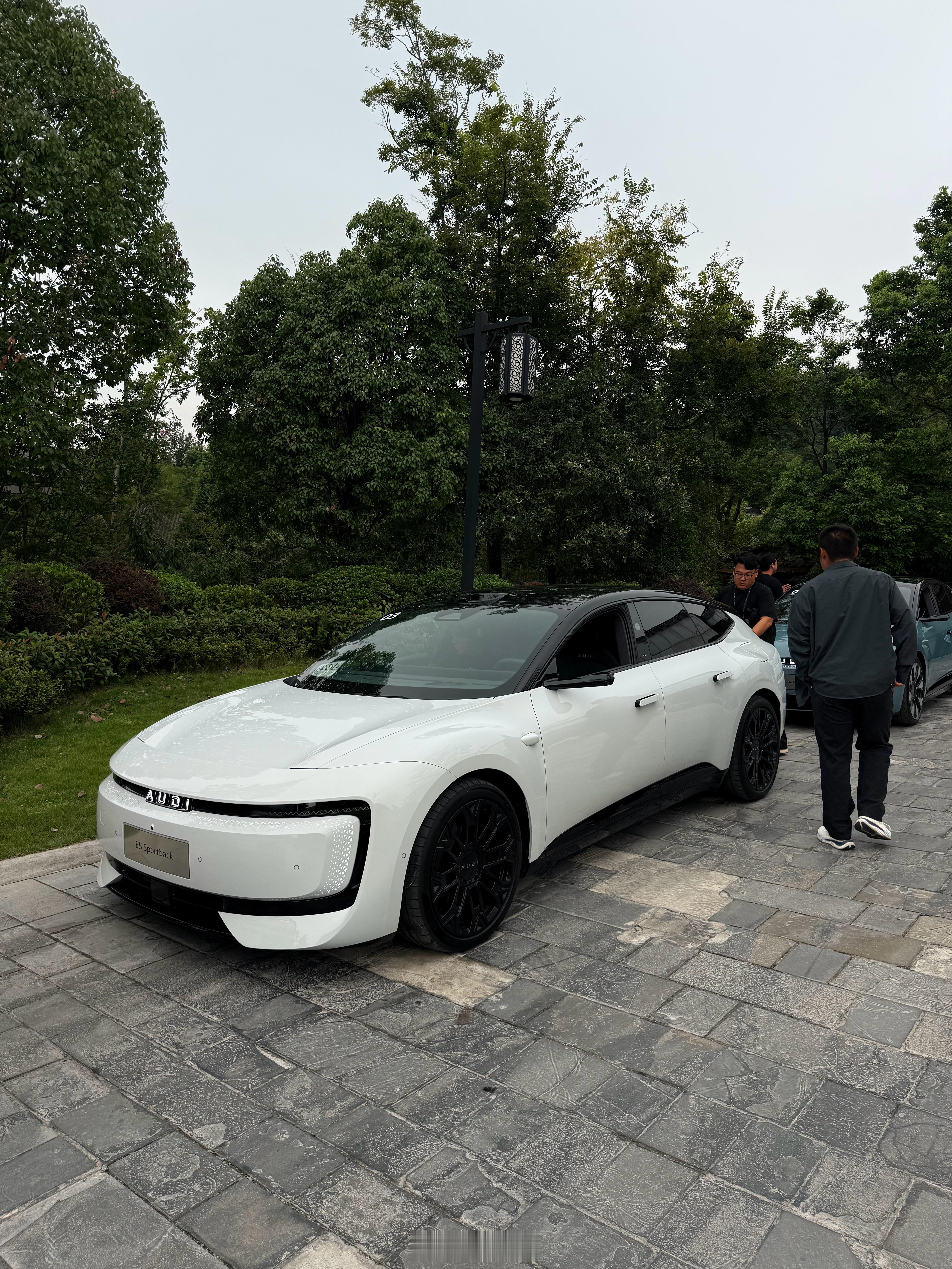 上汽奥迪E5Sportback上市六大颜色。各位挑挑？哪个好看！我依然是站黑色
