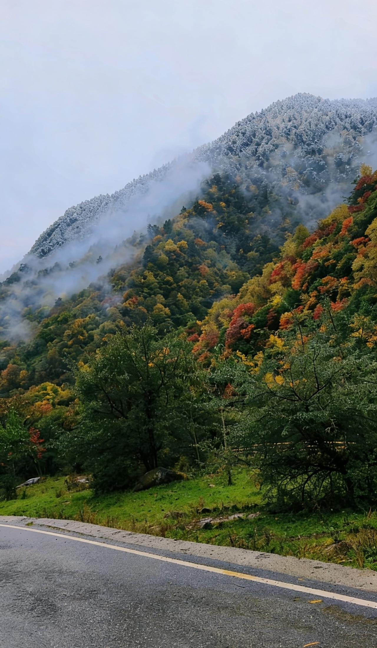 东拉山大峡谷最美的风景就是秋天的红叶，我去过很多红叶景区，但唯有东拉山大峡谷的红