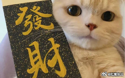 vplus足球狂欢季每日足球推荐竞彩足球德乙00:30布伦斯维克vs帕德博恩