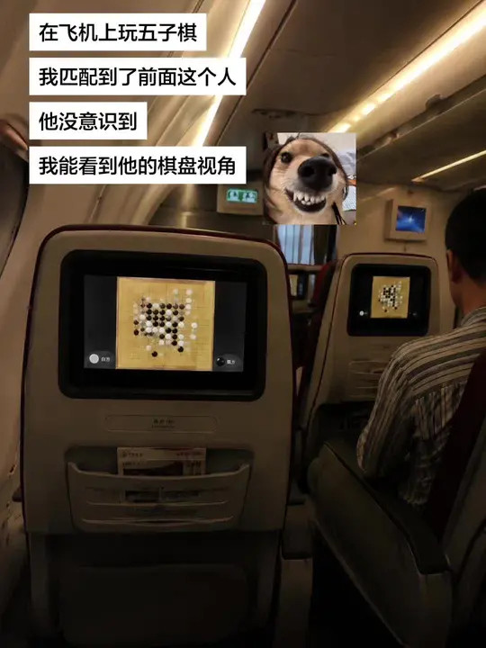 全世界倒数第一有用的偷看🤣👌