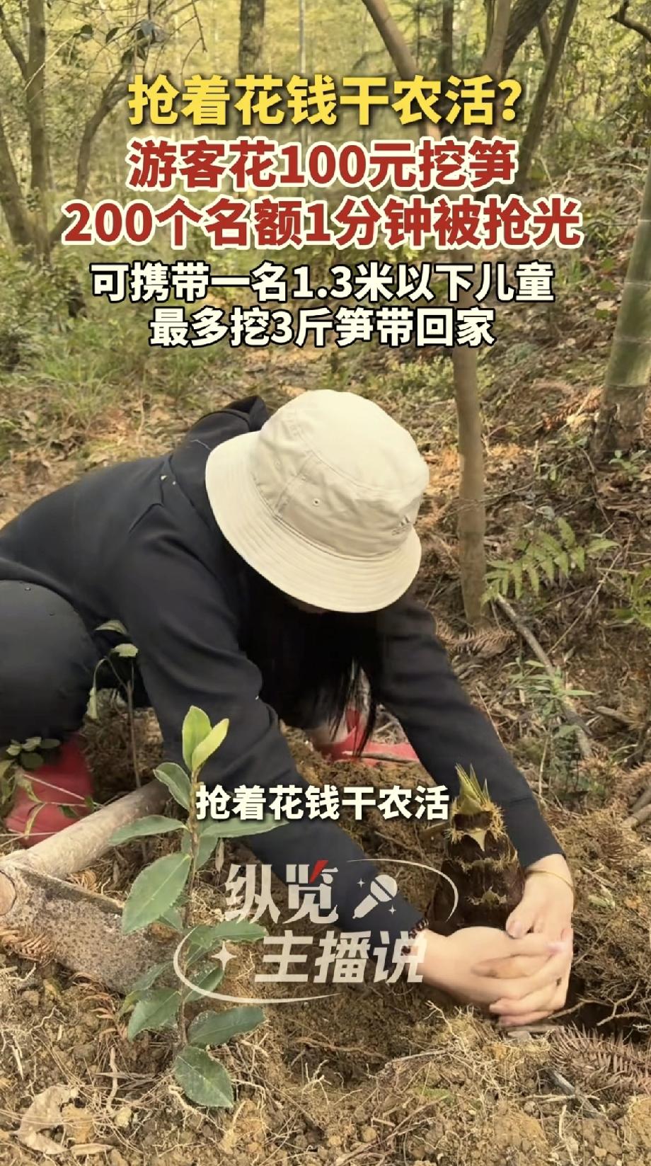 现在城里人都这么会玩了吗？上海，花100块钱可以去山上挖1小时春笋，每人限带3斤