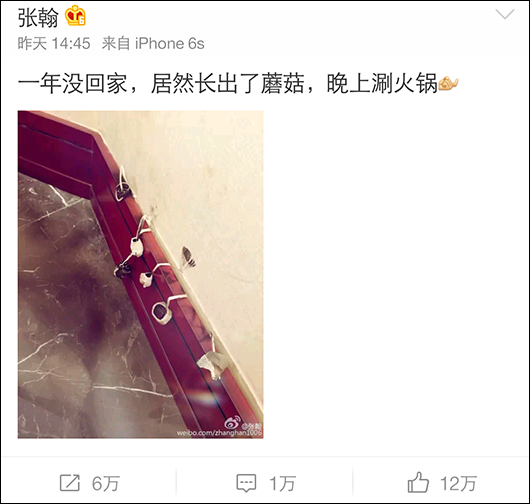 深圳公安官微提醒张翰蘑菇有毒 盘点那些年被警察蜀黍盯上的明星