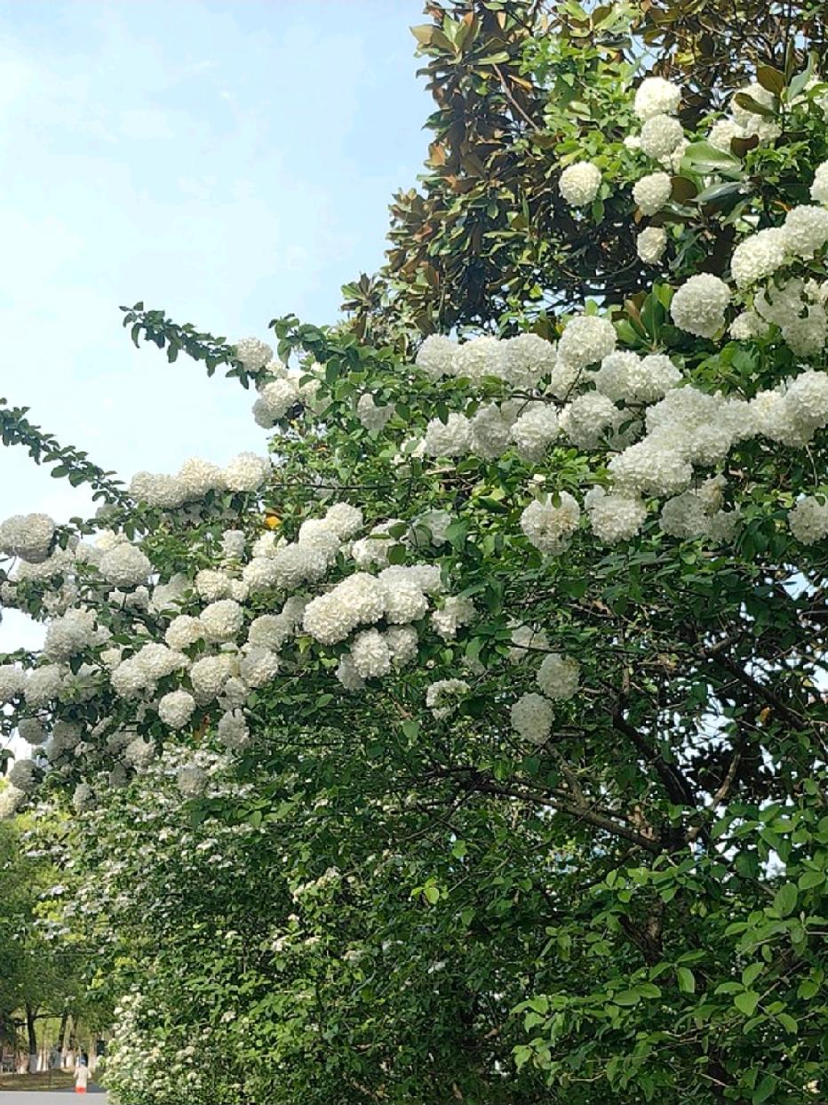 买菜偶遇昔日学生，一番对话让我彻夜难眠，奉劝所有学子别再荒废时光刚才出