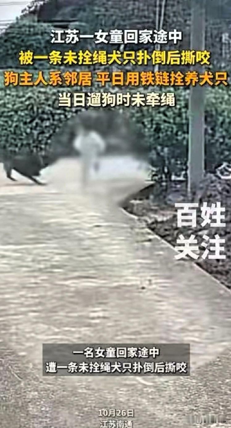 太吓人了，一名小女孩在路上玩耍的时候被一条大狗盯上。还好家人及时赶到，打跑了大