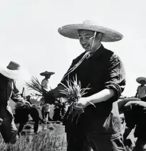 1970年7月29日，华国锋在长沙市郊区东屯渡公社高桥大队与当地社员一同在田间插