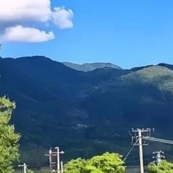 养养偶尔停下来审视生活，会发现大多数疲惫都源于想得太多、做得太少。我们总在深夜