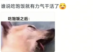 谁说吃饱饭就有力气干活了