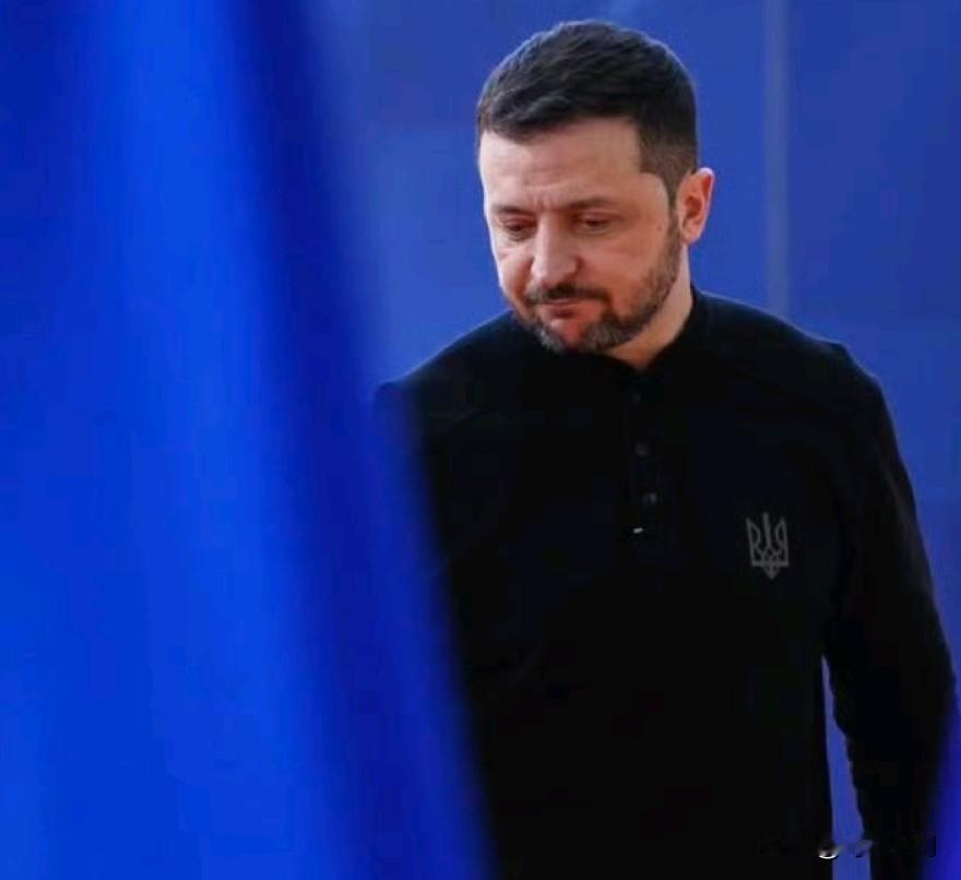 欧盟内部的抵制行动取得了成功。匈牙利、斯洛伐克和捷克共和国拒绝为欧盟向乌克兰