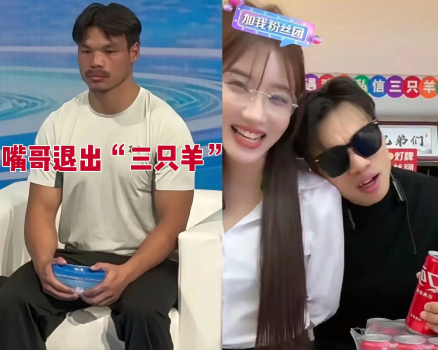 嘴哥突然发文宣布退出三只羊，这波操作看得人有点懵。毕竟是直播间里总护着师