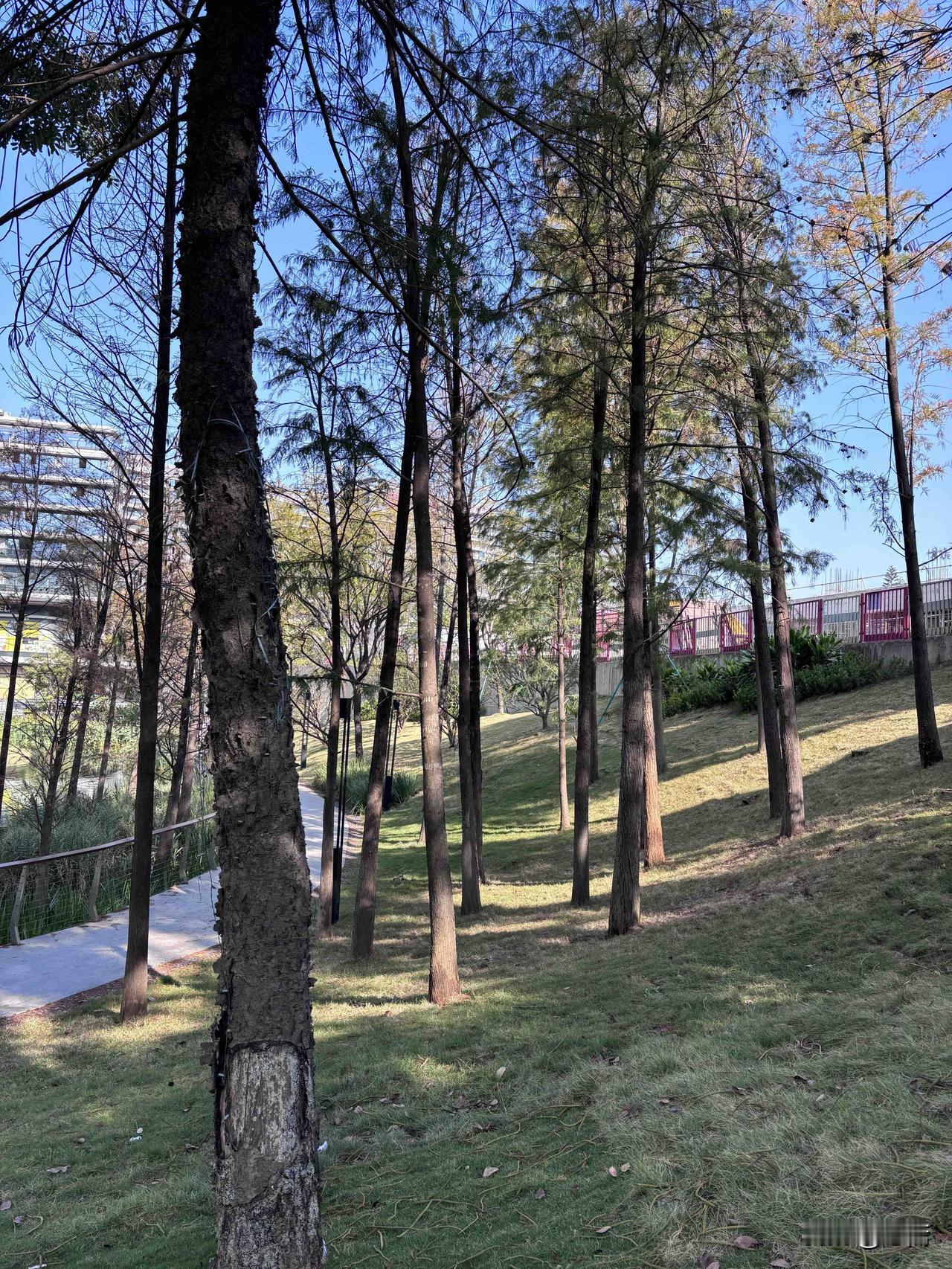 你不是累了，也不是老了，是正在“废掉”。废掉一个人，从来不是因为失败，而是让