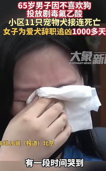 65岁男子因不喜欢狗投放剧毒氟乙酸，女子为爱犬辞职追凶1000多天